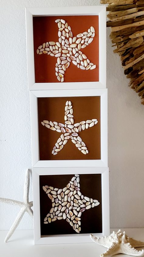 A stack of three white shadowbox frames, each with a mosaic of coquina shells into the shapes of sea stars on neutral brown shaded matboard Coquina Shell Art, Shell Mural, Coquina Shells, Mosaic Sea, Beachy Crafts, Seashell Art Diy, Shell Artwork, Sea Shells Diy, Beach Christmas Decorations