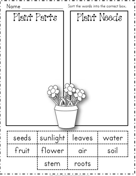 OUR ENGLISH CLASS: Let´s prepare for Spring time!!: plants and flowers دورة حياة النبات, Garden Science, Plant Lessons, Plants Worksheets, Plant Parts, Plants Unit, Plant A Garden, Plant Activities, 1st Grade Science