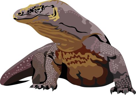 Komodo Dragon Reptile Vector Komodo Dragon Illustration, Komodo Illustration, Komodo Dragon Drawing, Komodo Art, Komodo Dragon Art, Dragon Illustration Art, Illustration Poses, Garfield Wallpaper, Culture Festival