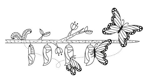 Caterpillar to butterfly lifecycle vecto... | Premium Vector #Freepik #vector #colouring #doodle-illustration #doodle-art #hand-drawn-illustration Caterpillar To Butterfly Drawing, Butterflies Doodle, Caterpillar Drawing, From Caterpillar To Butterfly, Butterfly Lifecycle, Caterpillar To Butterfly, Doodle Animals, Butterfly Caterpillar, Butterfly Journal