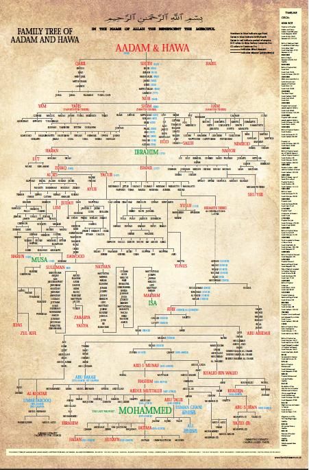 Family Tree of Aadam and Hawa Family Tree Of Adam And Hawa, Tata Family Tree, All Prophets In Islam, Adam And Hawa, Tafsir Coran, Prophets In Islam, Mekka Islam, Prophet Muhammad Quotes, Islam Marriage