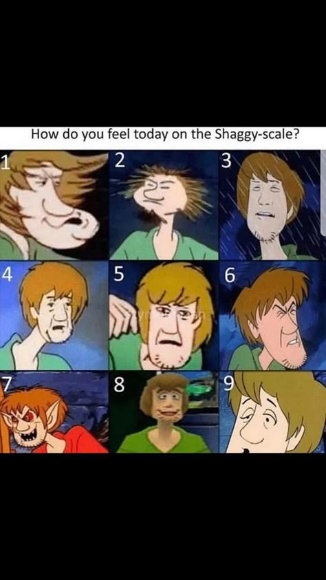 On A Scale Of How Are You Feeling, Scooby Doo Meme, Shaggy Fanart, Scooby Doo Funny, Shaggy Memes, Mood Scale, Scooby And Shaggy, Scooby Doo Shaggy, Scooby Doo Memes