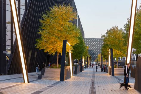 Idea 2893309: Vilnius Plaza by Martha Schwartz Partners in Vilnius, Lithuania Martha Schwartz, Areas Verdes, Commercial Street, Urban Lighting, Landscape Elements, Vilnius Lithuania, Landscape Architecture Design, Urban Furniture, Urban Architecture