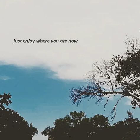 Sky And Trees Quotes, Sky And Trees Aesthetic Quotes, Nature Quotes Trees, Aesthetic Outdoors, Tree Quotes, Dry Tree, Best Positive Quotes, Snap Quotes