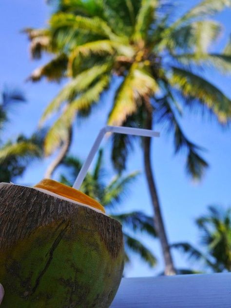 Coconuts Beach, Nature Story, Coconut Drinks, Instagram Planner, Beach Drinks, Beachy Outfits, Fresh Coconut, Tropical Beaches, Traditional Dance