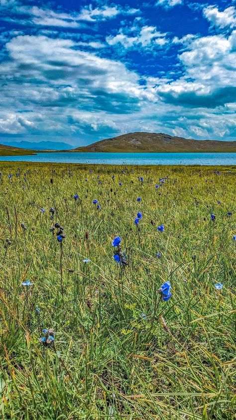 Seosher lake Deosai National Park Astore valley #i #travel #outdoor #ideas #green #goodnight #goodmorning #photooftheday #hd #4k #innovative #pakistani #lake #winter Deosai National Park, Hunza Valley, Pakistan Travel, Outdoor Ideas, Travel And Tourism, Travel Book, Adventure Awaits, Insta Travel, Europe Travel