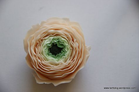 Cake Decorating Flowers, Sugar Flowers Tutorial, Pink Ranunculus, I Love Flowers, Cooking Advice, Fondant Tutorial, Fondant Flowers, Anemone Flower, Favorite Flower