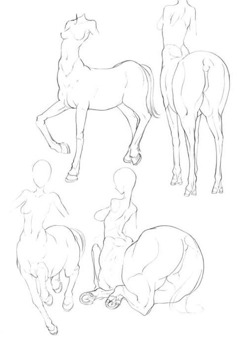 Medical Prints, Disney Sketches, Creature Drawings, Mythical Creatures Art, Creature Concept Art, Anatomy Art, Art Poses, Drawing Base, Drawing Reference Poses