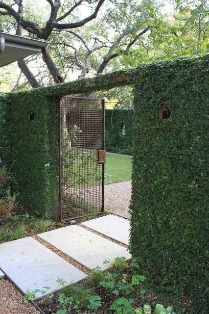 Garden Screening Ideas, Austin Garden, Open Days, Fence Ideas, Backyard Fences, Unique Gardens, Garden Tours, Garden Fencing, Fence Design