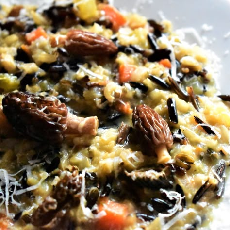 Morel Recipes, Morel Mushroom Recipes, Mushroom Bisque, Wild Mushroom Recipes, Rice Risotto, Mushroom Side Dishes, Mushroom Recipes Pasta, Mushroom Risotto Recipes, Mushroom Casserole