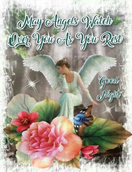 May angels watch over you as you rest quotes goodnight good night good night quotes good night images best good night quotes good night pic Best Good Night Quotes, Good Night Pic, Over You Quotes, Good Night Angel, Rest Quotes, Good Night Pictures, Thursday Pictures, Best Good Night, Night Pic