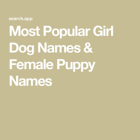 Most Popular Girl Dog Names & Female Puppy Names Female Puppy Names, Dog Names Female, Popular Female Dog Names, Puppy Girl Names, Dog Dental Health, Girl Dog Names, Female Dog Names, Dog Dental, Popular Dog Breeds