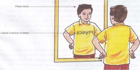 Image Reflection by a Plane Mirror - A Plus Topper #PropertiesofPlaneMirror Plane Mirror, Physics Projects, Mirror Words, First Plane, Revision Notes, Rays Of Light, By Plane, Metal Surface, A Plane