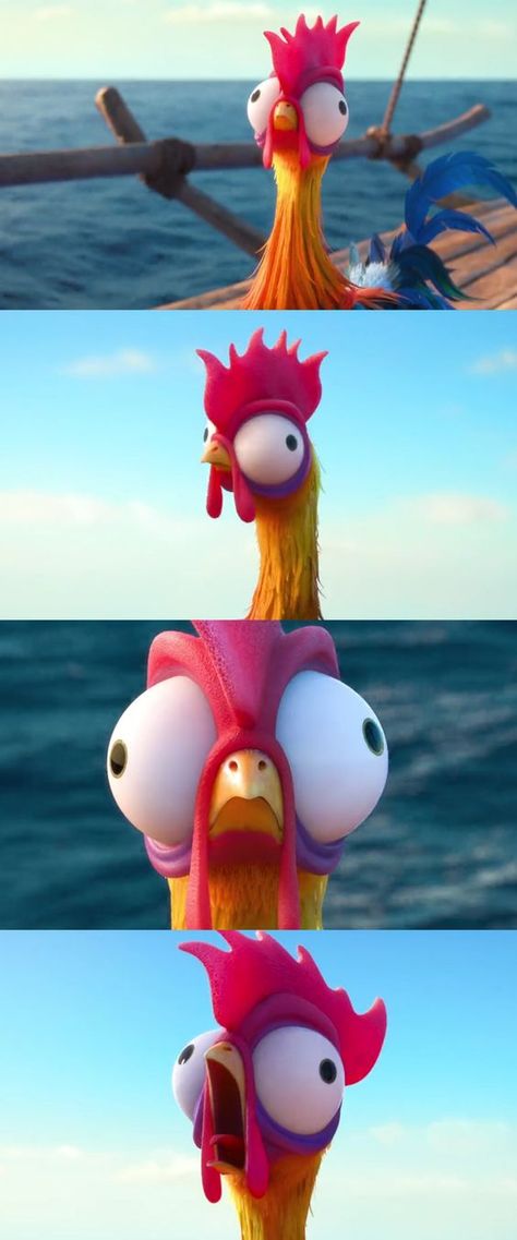 Hai Hai Moana Chicken, Heyhey Chicken Moana, Hei Hei Wallpaper, Hey Hey Moana Chicken, Chicken From Moana, Hey Hey Moana, Moana Memes, Moana Pig Pua, Disney Comedy