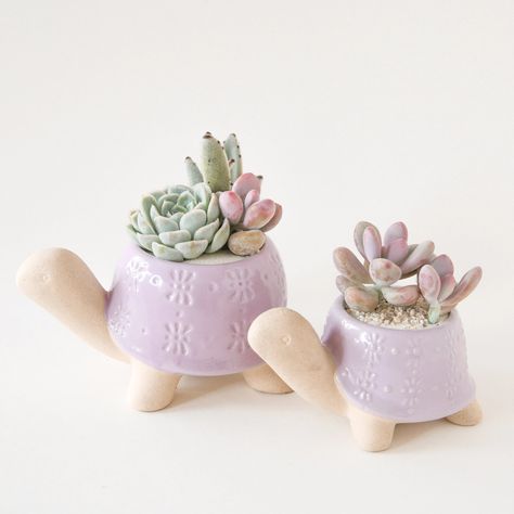 Liven up your living room with this fun and fabulous Lilac Turtle Planter! This adorable, ceramic critter is sure to be a conversation starter and the perfect shade of purple will brighten your day! Crafted out of ceramic, this unique turtle-shaped planter combines unglazed elements with reactive-glazed accents ideal for a small succulent and cacti arrangement or small house plant! Inspired by the garden, our in house brand Jungle Club is the place to shop for all aesthetically curated planting Small Clay Plant Pots, Ceramics Projects Ideas, Cacti Arrangement, Pottery Glaze Ideas, Unique Apartment Decor, Cute Plant Pots, Turtle Planter, Cactus Arrangement, Small House Plants