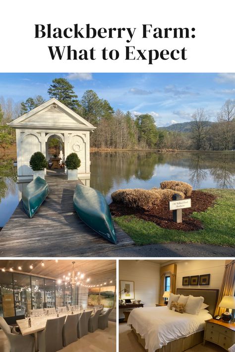 Blackberry Farm Review: What to Expect On Your Vacation Blackberry Farms Tennessee, Blackberry Farm Tennessee, Farm Vacation, Blackberry Farm, Retirement Strategies, Blackberry Farms, Family Trips, Farm Stay, Future Travel