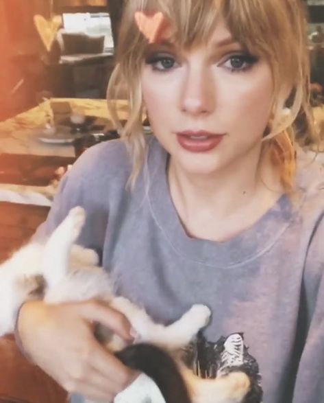 Grey Aesthetic Icons, Taylor Swift Grey Aesthetic, Taylor Swift Cats Meredith And Olivia, Taylor With Cat, Taylor Swift's Cats, Taylor Swift With Her Cats, Cat Pfps, Taylor Swift Cat, Benjamin Button