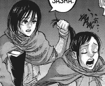 Aot Manga Icons, Mikasa And Sasha, Aot Manga, Attack On Titan Manga, Aot Characters, Attack On Titan Fanart, Attack On Titan Art, Manga Panels, Manga Icons