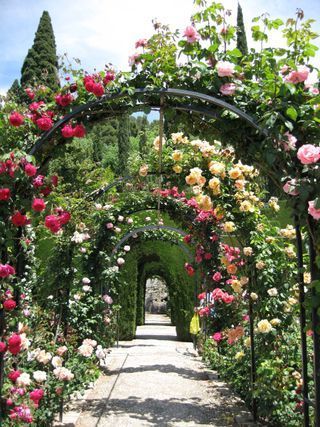 10 Rose Arch Ideas: Which Roses Are Best for Archways? 10 Garden Archway, Rose Garden Design, Rose Arbor, Rose Belle, Garden Arches, Garden Pathway, Climbing Roses, Gorgeous Gardens, Alam Yang Indah