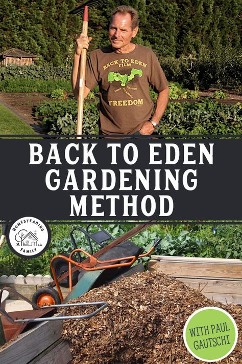 Back To Eden Garden Layout, Allotment Planning, Back To Eden Gardening, Back To Eden Garden, Fruit Forest, Garden Redesign, Planting Techniques, Homesteading Family, Back To Eden