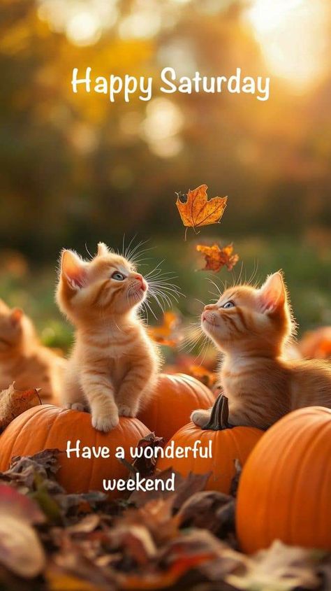 Happy Saturday Fall Images, Fall Saturday Morning Quotes, Good Morning Happy Saturday Fall, Happy Saturday Fall, Great Weekend Quotes, Saturday Morning Greetings, Autumn Saturday, Big Emoji, Happy Saturday Pictures