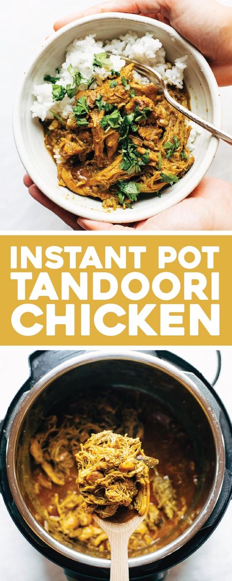 Tandori Chicken - I braised in le crueset in oven at 300 for 2+ hours then shredded and served with rice Resep Makanan Beku, Tandoori Chicken Recipe, Tandoori Recipes, Spiced Vegetables, Pinch Of Yum, Clay Oven, Indian Chicken, Paleo Dinner, Make Ahead Meals