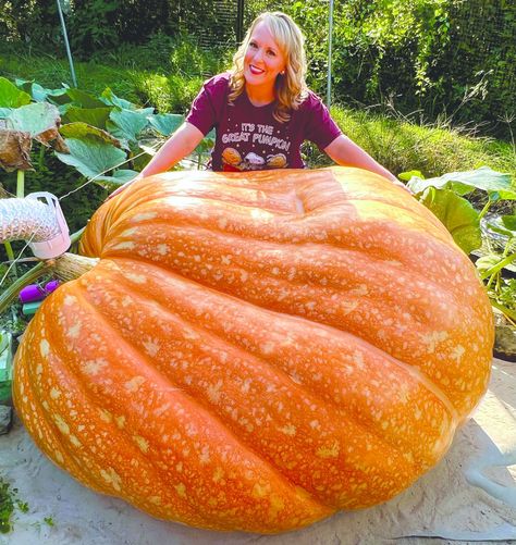 Pumpkin Growing, The Greenbrier, Giant Pumpkin, Growing Pumpkins, Arts And Crafts House, Family Affair, Large Plants, Holiday Celebration, Pumpkins