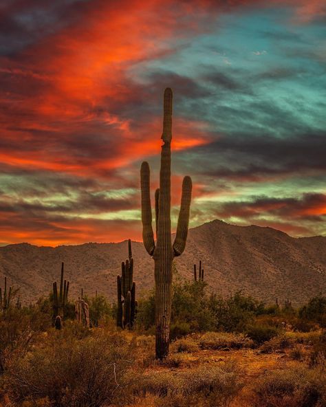 Southwest Scenery, Southwest Wallpaper, Southwest Art Paintings, Southwest Aesthetic, Western Scenery, Paint Sunset, Buckeye Arizona, Scenery Reference, Arizona Aesthetic