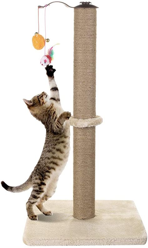 Cat Canopy, Tall Cat Scratching Post, Cat Scratcher Post, Cat Exercise Wheel, Cat Tree Scratching Post, Modern Cat Tree, Cat Ball, Cat Post, Interactive Cat Toys