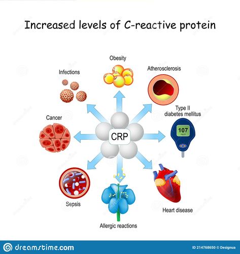 Glucose Molecule, Quaternary Structure Of Protein, C Reactive Protein, Belly Fat Overnight, Allergic Reaction, Protein Synthesis, Blood Test, Chronic Inflammation, Improve Digestion