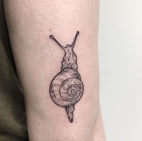 Mushroom And Snail Tattoo, Snail Tattoo Design, Traditional Snail Tattoo, Snail Tattoo With Mushrooms, Snail On Mushroom Tattoo, Cottagecore Snail Tattoo, Black And Grey Snail Tattoo, Snail Tattoos, Snail Tattoo Colorful