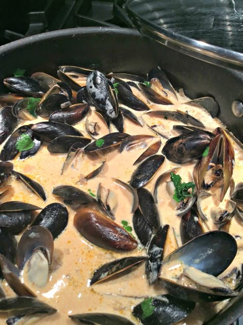 Thai Mussels, Coconut Curry Mussels, Desserts On A Budget, Mussels Recipes, Mussel Recipes, Curry Mussels, Thai Salmon, Curry Broth, Mussels Recipe