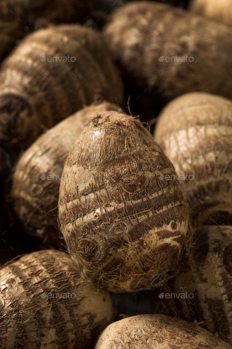 Raw Organic Brown Taro Root by bhofack2. Raw Organic Brown Taro Root Ready to Cook #AD #Brown, #Taro, #Raw, #Organic Taro Root, Classroom Newsletter Template, Classroom Newsletter, Healthy Eating, Design