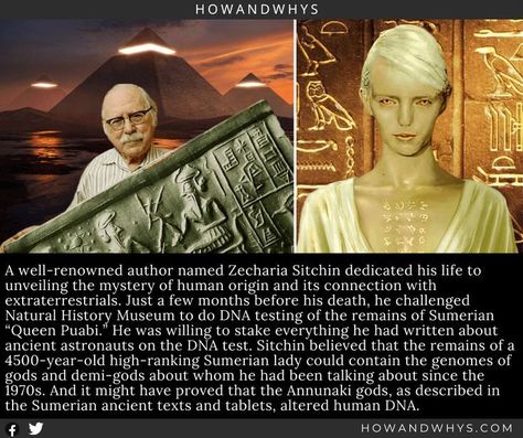 Annunaki Gods, Shadow Work Spiritual, Aliens History, Weird History, Ancient Sumerian, Dna Testing, Ancient Astronaut, Ancient Mesopotamia, Mystery Of History