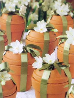 Terra cotta pots, bulbs, tie it up with some ribbon and a embellishment ..what a cute gift idea or party favor. Flower Bulb, Flower Bulbs, Cadeau Diy, Crafty Gifts, Bulb Flowers, Plant Gifts, Christmas Pictures, Homemade Gifts, Creative Gifts