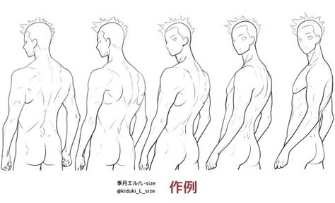 남성 근육, Back Drawing, Body Drawing Tutorial, Anatomy Sketches, Different Poses, Body Reference Drawing, Drawing Expressions, Art Help, Drawing Refs