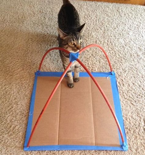 Diy Cat Tent T Shirts, Diy Cat Tent How To Make, Pet Tent Diy, Cat Tepee House Diy, Diy Cat Teepee, Cat Nesting Box Kittens Diy, Diy Cat Hideout, Dog Tent Diy, Diy Cat Projects