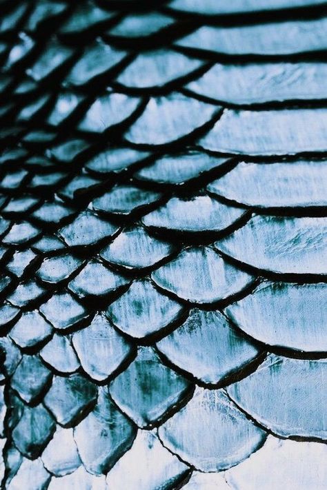 Blue Scales Aesthetic Dragon, Blue Dragon Scales, Blue Scales Aesthetic, Dragon Blue Aesthetic, Dragon Aesthetic Blue, Siren Aesthetic Blue, Sea Dragon Aesthetic, Ice Dragon Aesthetic, Dragon Scales Aesthetic