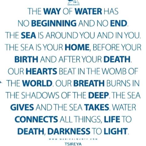 Avatar Way Of Water Quotes, Avatar 2 The Way Of Water Quotes, Avatar 2 Quotes, Avatar Quotes Pandora, Avatar Movie Quotes, Avatar Inspired Room, Disney Pixar Quotes, Water Poems, Avatar Book