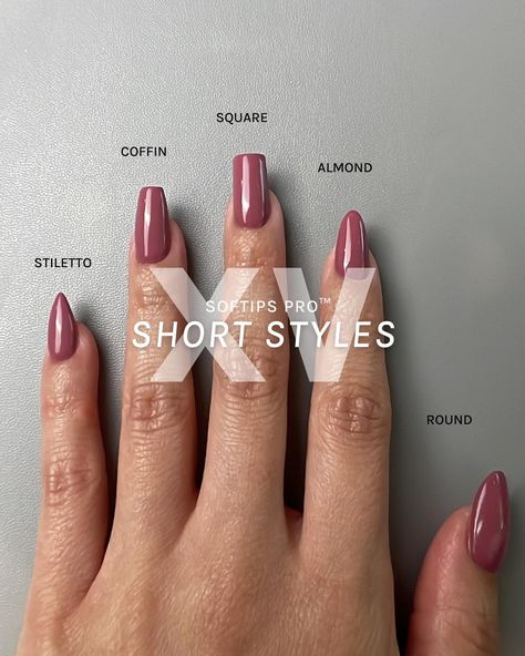 Almond Vs Round Nails, Square Vs Almond Nails, Round Vs Almond Nails, Rounded Stiletto Nails, Extension Designs, Round Nails, Nail Styles, Collection Box, Nail Extensions