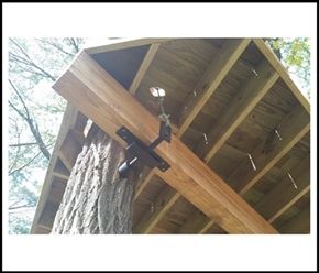 Custom Treehouse, Treehouse Masters, Building A Treehouse, Tree House Plans, Tree House Diy, Cool Tree Houses, Tree House Designs, Live Tree, Patio Roof