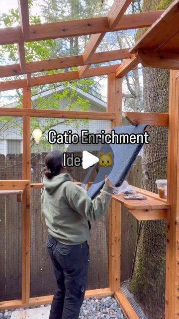 The Catio Company on Instagram: "Designing the accessories layout is our favorite part of building Catios! 🐾 We love to think about what the cats, depending on their age and personality, would like! 🤔 This Catio was built for two young orange cats! 🐈🔥 Orange cats have a unique, playful and energetic personality, so we made sure they could loop around this Catio and have a lot of stimuli to keep them happy and entertained! 🎉  . . . #catio #catios #catiosofinstagram #portlandcats #catsofportland #oregoncats #catsoforegon #cat #cutecats #catlover #catlife  #catstagram #catsofig #outbuilding #cathome #happycat #happycatclub #cats #meow #catshelter #construction #carpentry #woodworking #woodworker #wood #catfurnituredesign #catenclosures #catios #woodwork #carpentrylife" Cat Condo Diy Outdoor, What To Put Inside Catio, Cat Ceiling Walkways, How To Build A Catio For Cats, Cat Runs Enclosure, Simple Catio Plans, Diy Cat Patio, Catio Ideas Cat Diy, Diy Catio Plans Free