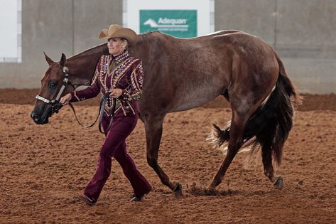 Horse Showing: Showmanship Best Practices - AQHA Horse Showmanship Outfits, Western Show Outfits, Horse Showing, Horse Show Outfits, Horse Showmanship, Horse Show, Aqha Showmanship, In Hand Horse Show, Aqha Western Pleasure