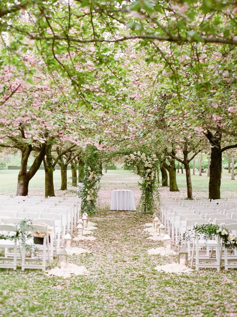 Photography: Sawyer Baird | Floral Design: Designs by Ahn | Venue: Brooklyn Botanic Garden Brooklyn Botanical Garden Wedding, Blossom Tree Wedding, Cherry Blossom Wedding Theme, Brooklyn Botanical Garden, Wedding Themes Spring, Garden Weddings Ceremony, Cherry Blossom Wedding, Outdoor Trees, Blossom Garden