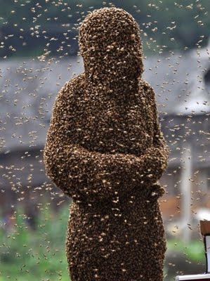 This was part if a competition to find out who can get the most bees to settle on them - while only wearing shorts and goggles. No, I don't know why! Bee Suit, Bee Swarm, Bee Keeper, Bee Sting, Bee Art, A Symbol, Save The Bees, Bees Knees, Bee Happy