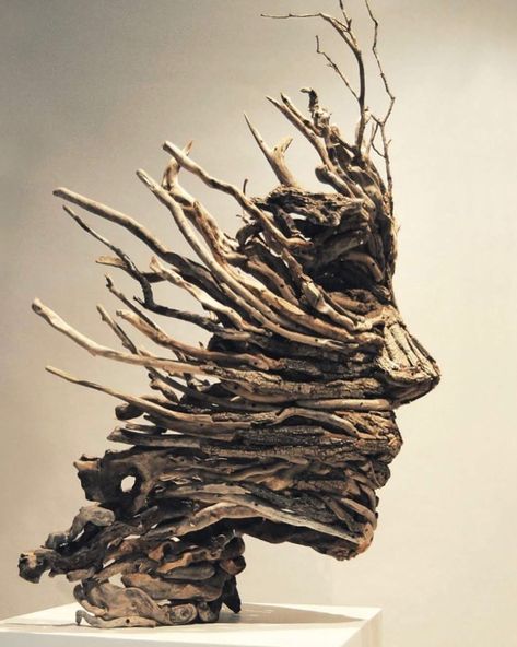 Takken Decor, Driftwood Art Sculpture, Tre Kunst, Do It Yourself Decoration, Wood Carving Art Sculpture, Twig Art, Driftwood Art Diy, Driftwood Projects, Driftwood Wall Art