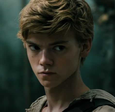 Maze Runner 1, Thomas Brodie Sangster Imagines, Maze Runner Characters, Maze Runner The Scorch, Maze Runner Trilogy, Maze Runner Cast, Newt Maze Runner, Maze Runner Movie, The Scorch Trials