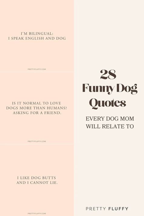 28 Funny Dog Quotes Every Crazy Dog Lady Will Get Pet Parent Quotes, Dog Parents Quotes, Funny Dog Mom Quotes, Dog Grooming Quotes, Dog Mom Quotes Humor, Dog Dad Quotes, Grooming Quotes, Dog Whiskers, Quotes About Dogs