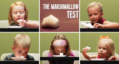 In this popular test, several kids wrestle with waiting to eat a marshmallow in hopes of a bigger prize. This video is a good illustration of delayed gratification, temptation and the hope in future rewards. This experiment is based on many previous and similar scientific tests. Marshmallow Test, Madonna Songs, Blank Stare, Spark Up, Now And Then Movie, Instructional Design, 7 Habits, Financial Advice, Self Control