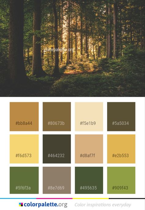 Kitchen Colors Schemes, Chic Bedroom Design, Nature Background Images, Forest Color, Color Schemes Colour Palettes, Kitchen Colour Schemes, Pastel Designs, Kitchen Decor Themes, Nature Color Palette